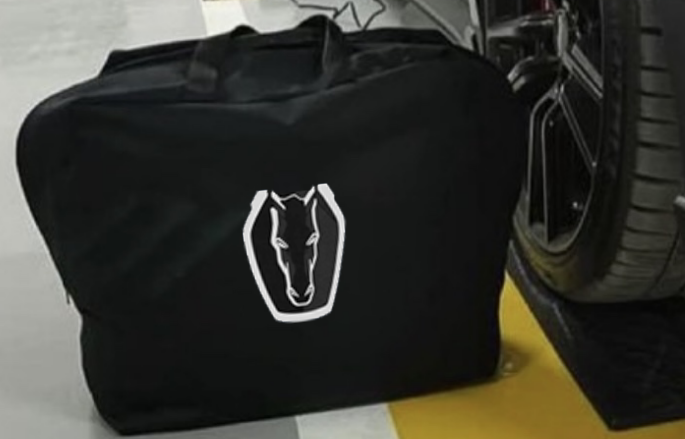 Mustang Dark Horse